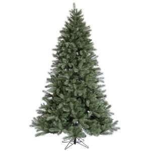  4.5 Blue Albany Spruce Christmas Tree w/ 413T: Home 