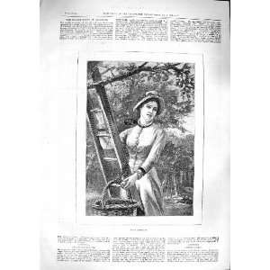   : 1881 Scene Lady Ladder Garden Apple Gathering Trees: Home & Kitchen