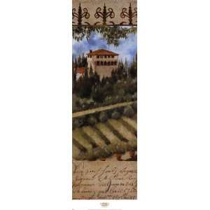  Tuscany Villa II   Poster by Liz Jardine (12x38)