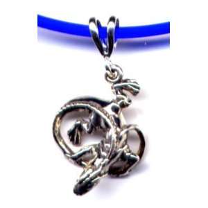 18 Blue Iguana Necklace Sterling Silver Jewelry:  Home 