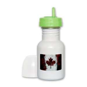   Sippy Cup Lime Lid Canadian Canada Flag Painting HD: Everything Else