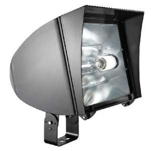  RAB Lighting FXLTQTFlexflood Large Trunnion HPS Quad Tap 