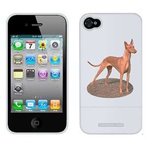  Pharaoh Hound on Verizon iPhone 4 Case by Coveroo  