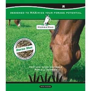  Horse Max 5 Lbs (Premium Horse Pasture Seed Mix for South 