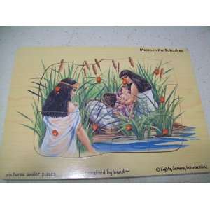  Moses in the Bulrushes Easy Grip Peg Puzzle Toys & Games