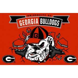 Georgia Bulldogs 4 x 6 Area Rug