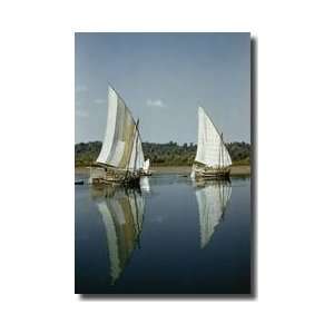  Wooden Boats Sundarbans Delta East Pakistan Giclee Print 