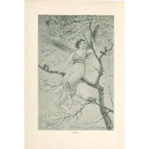  1891 Print Angel Sitting in Tree 