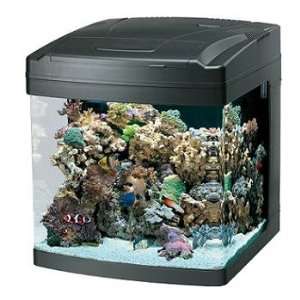  Oceanic 82051 BioCube Aquarium, 14 Gallon: Pet Supplies
