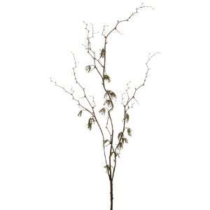  50 Birch Branch Brown Green (Pack of 12)