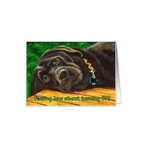  Funny Birthday ~ 57 Years Old ~ Labrador Dog Card: Toys 