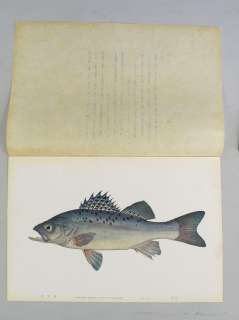 RARE ANTIQUE LITHOGRAPHIC BOOK JAPANESE FISH 20 PRINT Unsodo NIHON 