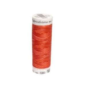  Mettler Machine Embroidery Thread Size 30 100M Variegated 