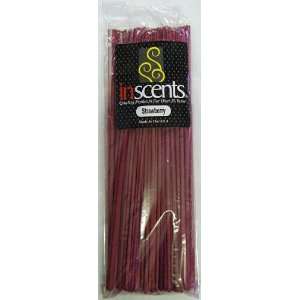    Strawberry   100 Stick Bulk Pack of In Scents Incense Beauty
