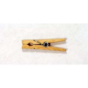   Forster Miniature Beechwood Spring Clothespins 100pcs: Home & Kitchen