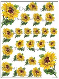 COTTAGE chic ~ FRENCH COUNTRY SUNFLOWERS DECALS ~shabby  