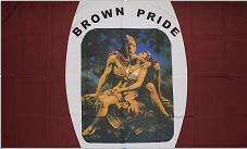 BROWN PRIDE 3 X 5 FEET FLAG  