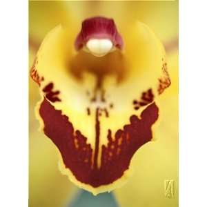  Nichole Sloan   Orchid Artaissance Giclee on Paper