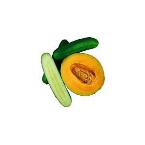  Cucumbers and Cantaloupe: Patio, Lawn & Garden