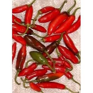  200 SERRANO TAMPIQUENO PEPPER Capsicum Annuum Vegetable 