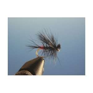  Little Black Stone Fly: Sports & Outdoors