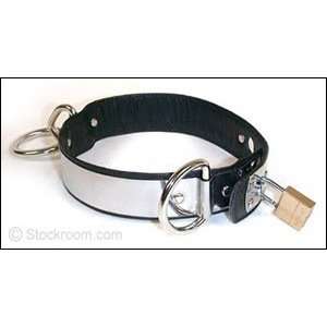  Deluxe Stainless Steel/Leather Collar, Small: Health 