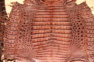 Genuine Caiman Crocodile Belly Skins matte set of two 9 x 30 each 