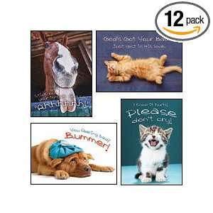  Fuzzy Friends   Scripture Greeting Cards   NIV   Boxed   Get 