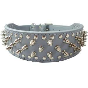   Spiked Studded Dog Collar 2 Wide, 31 Spikes 52 Studs