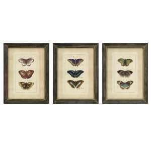  Imax 27304 3 Butterfly Collection Wall Art   Set of 3 