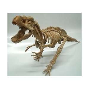   long Tyrannosaurus T Rex Dinosaur Skeleton Fossil Model: Toys & Games