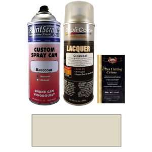  12.5 Oz. Silver Mist Metallic Spray Can Paint Kit for 2010 