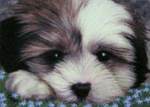ACEO Art magnet Dog Shih Tzu Puppy Flowers Mason  