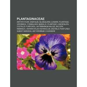 : Antirrhinum, Digitalis, Globularia, Linaria, Plantago, Veronica 