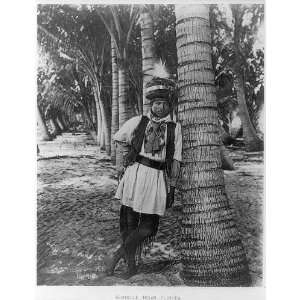  Seminole Indian   Florida,FL,c1904,Palm trees,elaborate 