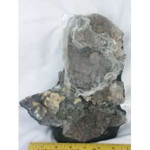  Selenite Amethyst Gem/Mineral Crystal Cluster, 8.10.7 