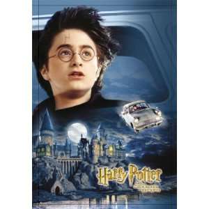   Harry Potter and the Chamber of Secrets Movie Poster