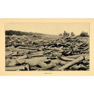  1930 Print Log Jam Lumber Wisconsin Trees Mill River 