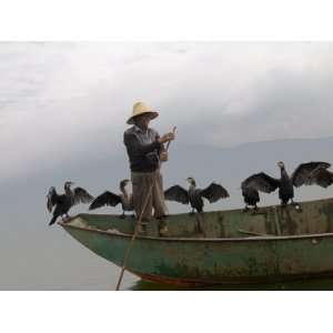  Cormorant Fisherman with His Birds, Erhai Lake, Dali, Yunnan, China 