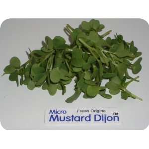 Micro Greens   Mustard Dijon   4 x 4 oz  Grocery & Gourmet 
