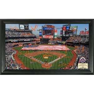  New York Mets Signature Field Collection: Sports 