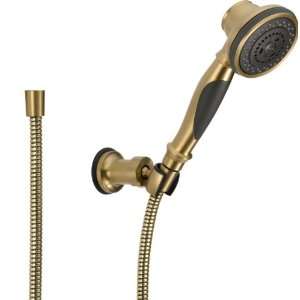  Delta Faucet 55021 CZ Wall Mount Hand shower, Champagne 