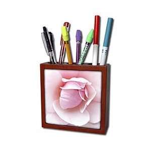  Florene Flowers   Powder Puff Pink   Tile Pen Holders 5 