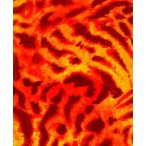  60 Wide Animal Design Print Burnout Fabric By the Yard 