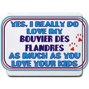  Yes, I really do love my BOUVIER DES FLANDRES as much as 
