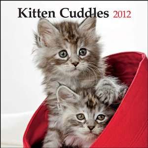  Kitten Cuddles 2012 Wall Calendar