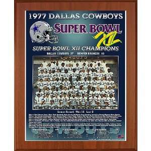 Healy Dallas Cowboys Super Bowl Xii Champions 11X13 Team Picture 