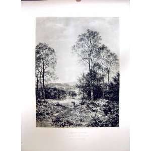  1896 ART JOURNAL SUNNY MORNING FARMING TREES LEADER