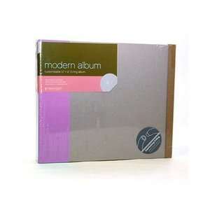 American Crafts 12 Inch by 12 Inch Modern D Ring Album, Purple Arts 