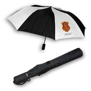  Iota Phi Theta Umbrella 